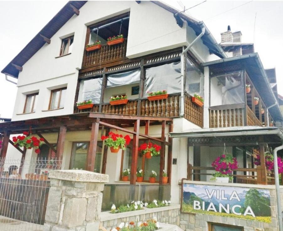 Vila Bianca Buşteni Eksteriør bilde